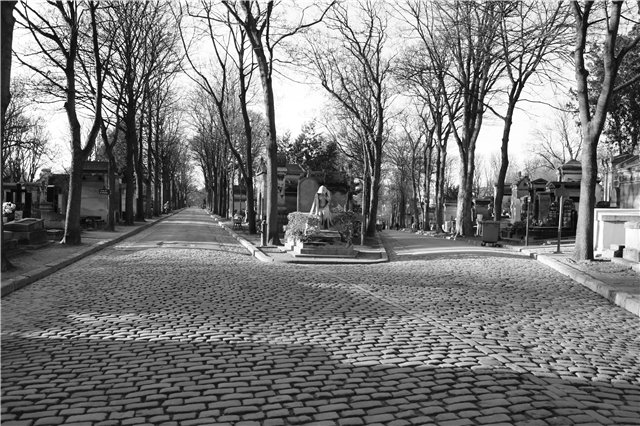 Le cimeti&amp;#232;re de Montmartre