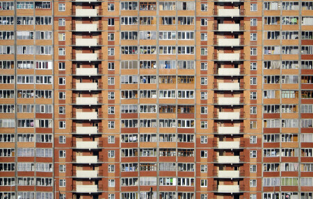 Муравейник