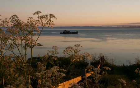С грядки с видом на море