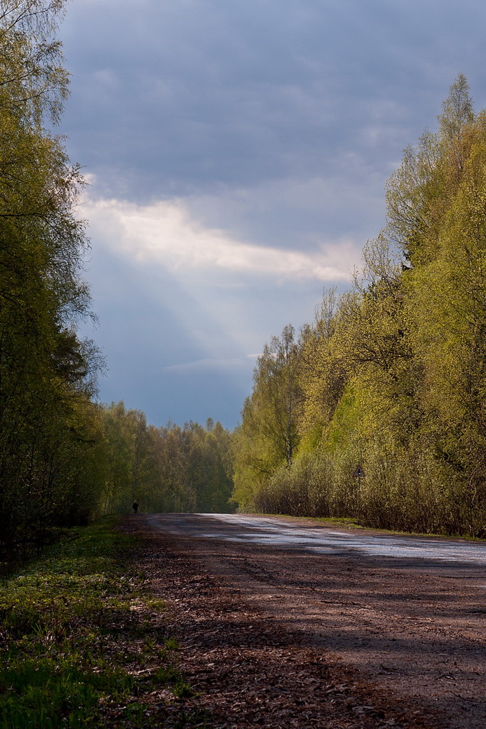 The Russian Road