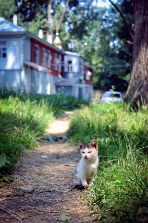 Возьми меня с собой