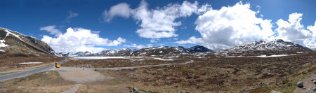 Лето. Норвегия.