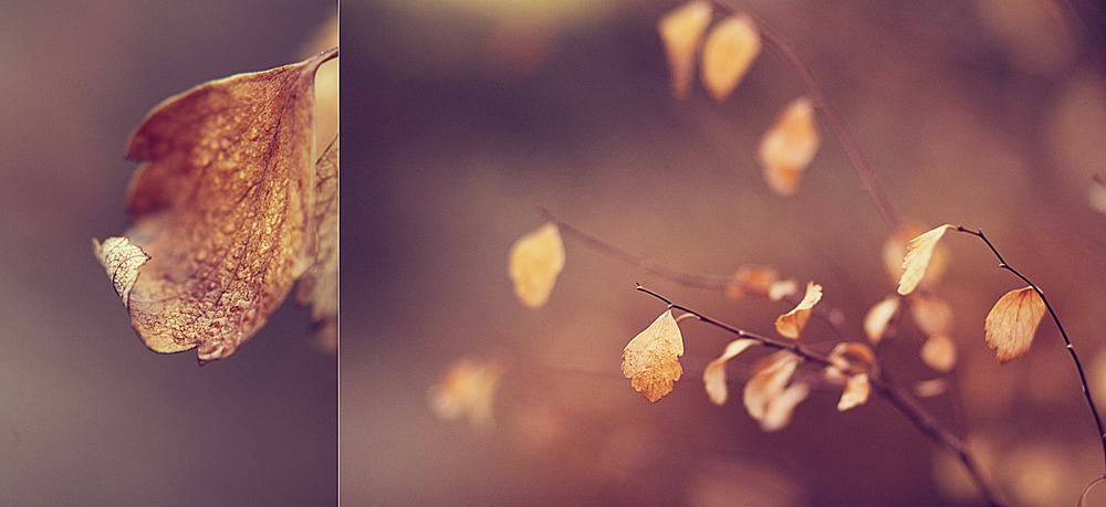 late autumn