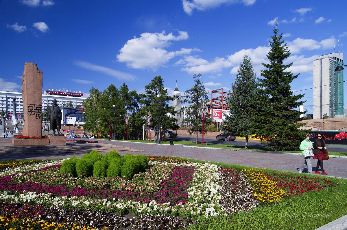 Городские цветы