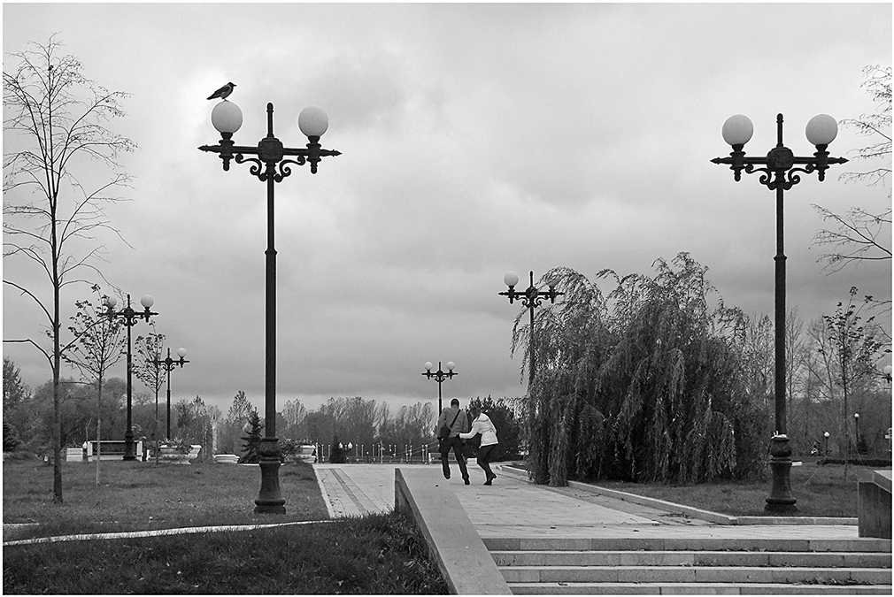 Офонаревшие