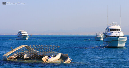 Морской дом отныне