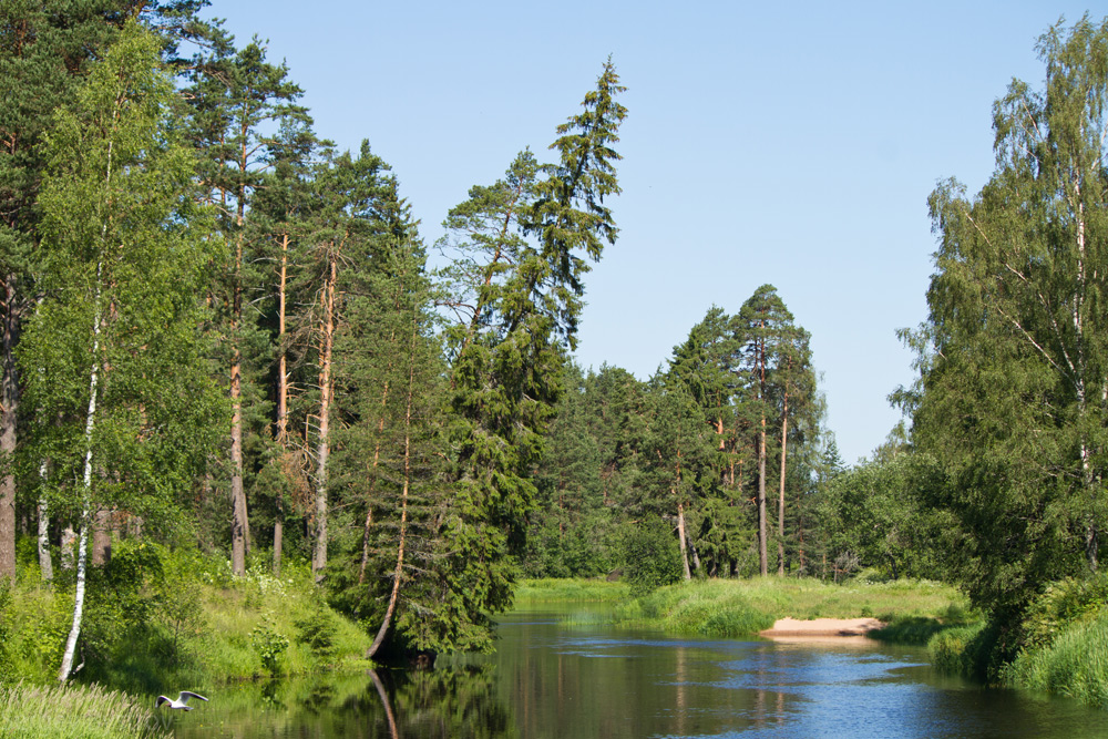 На реке