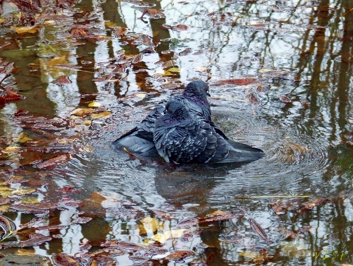 Значит, будет тепло,