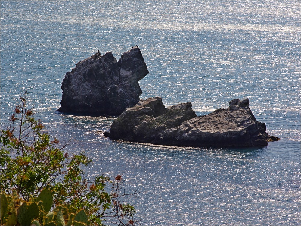 Мыс Плака. Птичьи скалы.