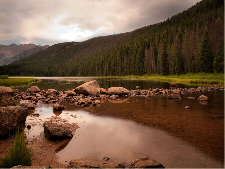 Wilderness