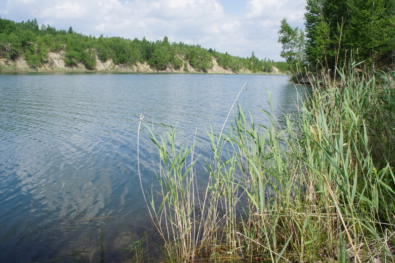 оз.Чайка (Амурская обл.)