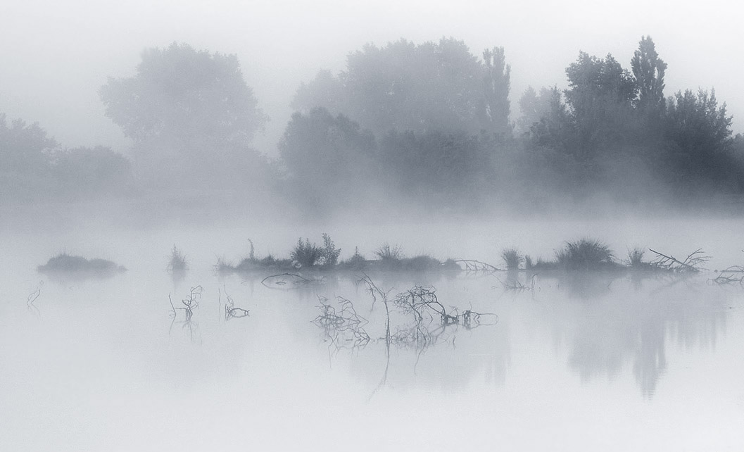 Водорастворимость