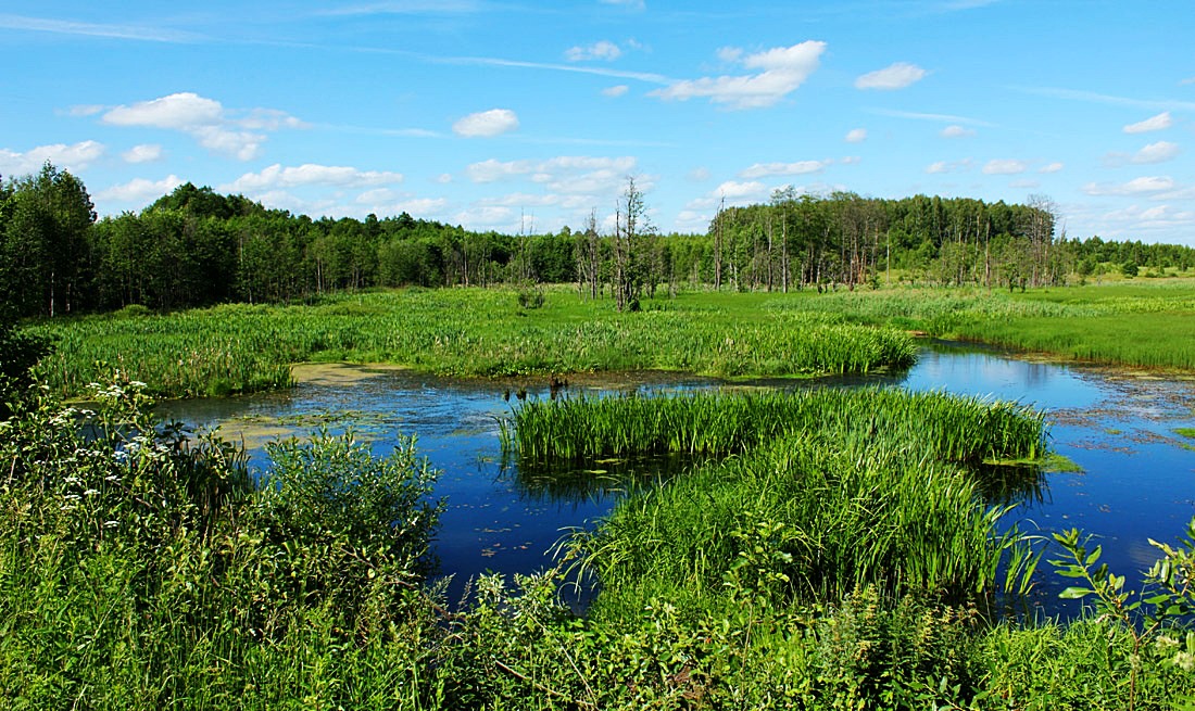 Каменка