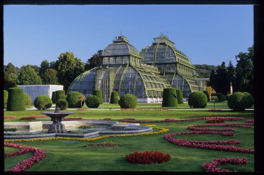 Palm house