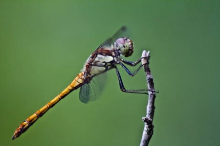 к взлету готов