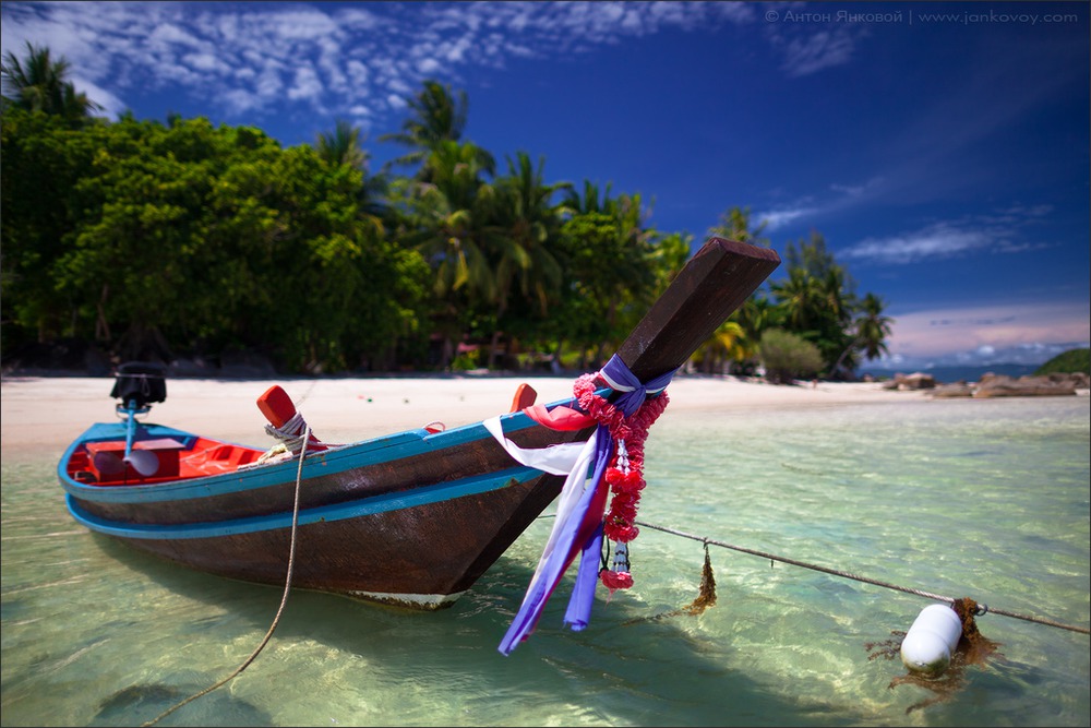 Phangan Paradise!