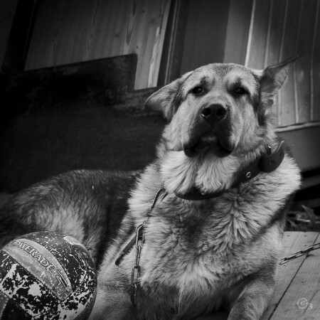 Отвяжешь? - поиграем..