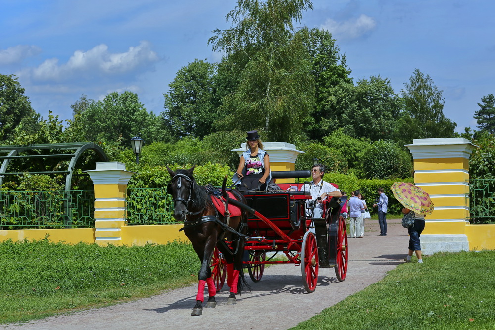 в кусково