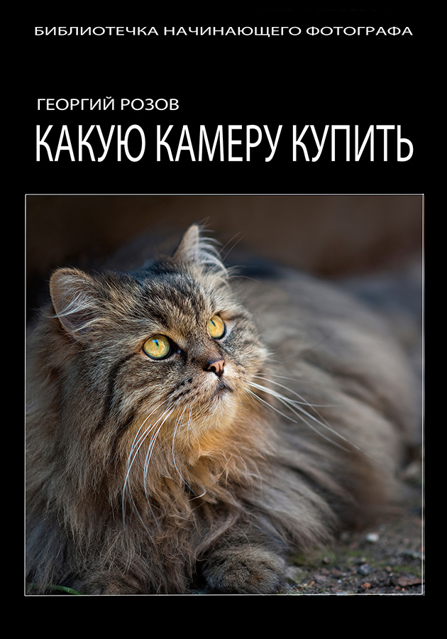 Моя новая книга &quot;Какую камеру купить&quot;