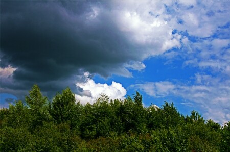 кажется, дождь собирается