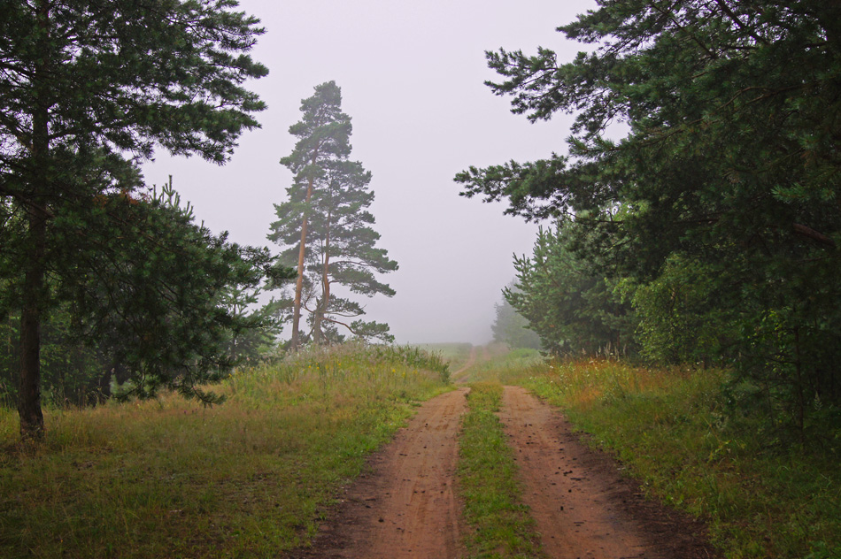 дорога в туман