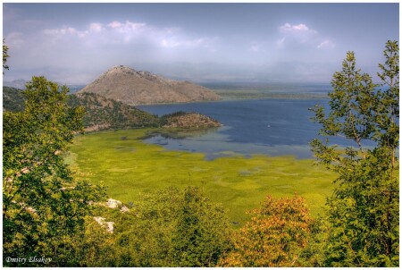 Царство лилий...