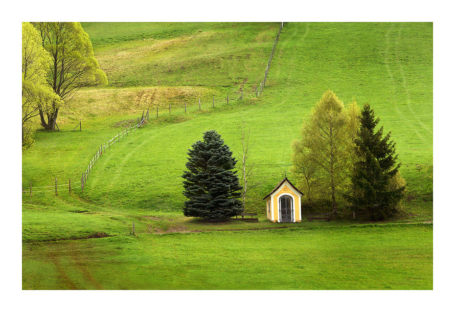 Alps landscape