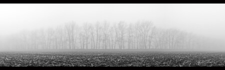 foggy misty
