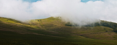 белый туман