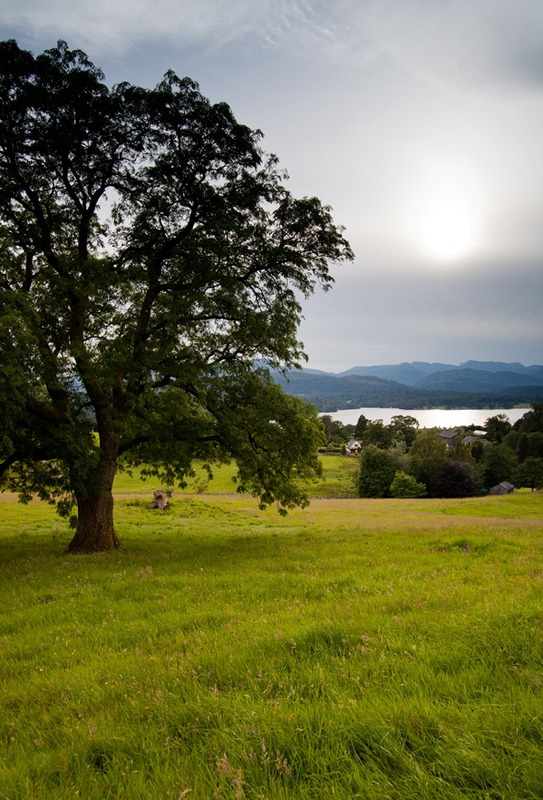 Lake district