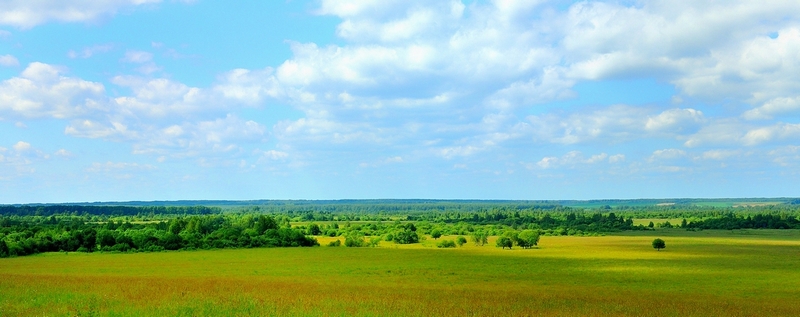 Родные просторы