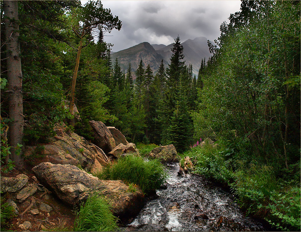 Rain in the mountains