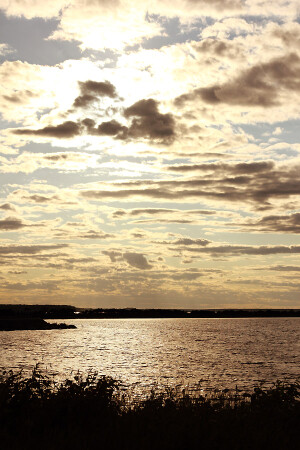 Над Шексной