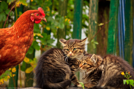 Страшно аж жуть