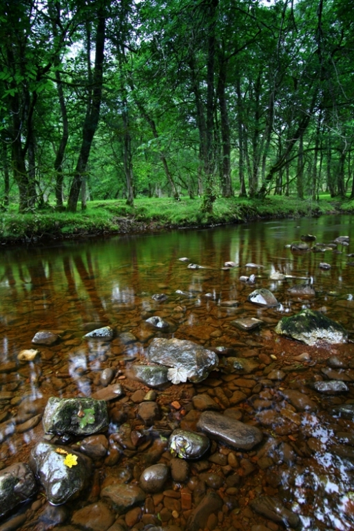 затишье перед водпадом