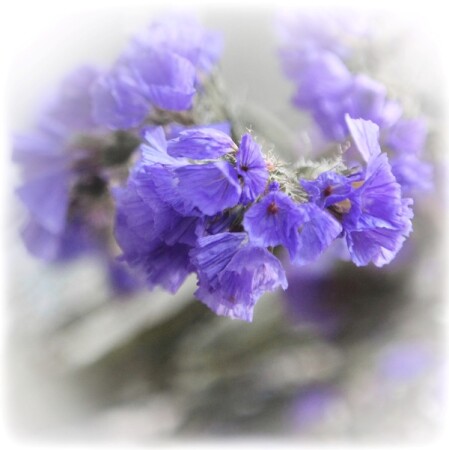 летний этюд