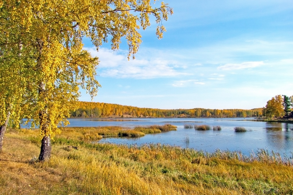 Осень золотая