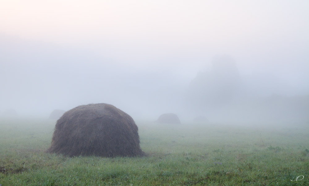 Утро на цыпочках кралось