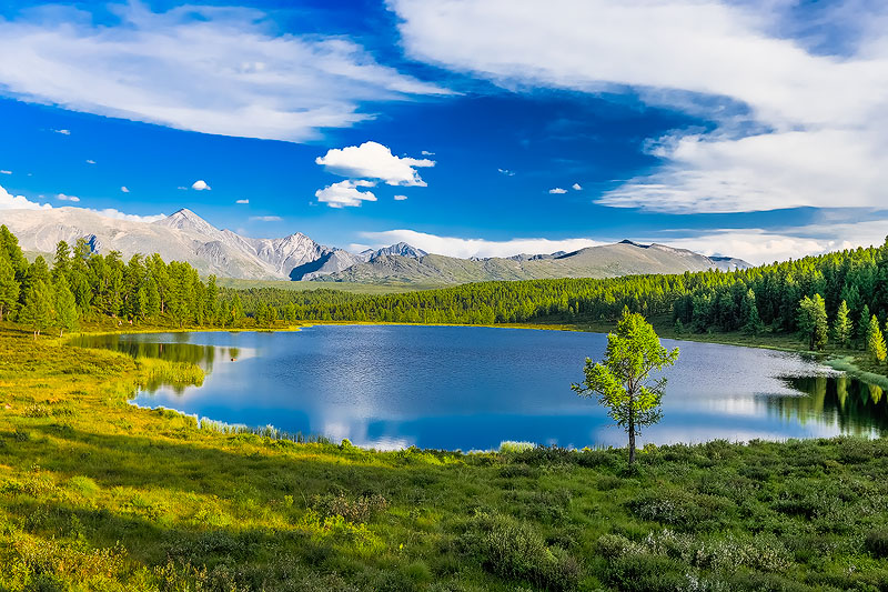 Алтай, на Улаганском перевале