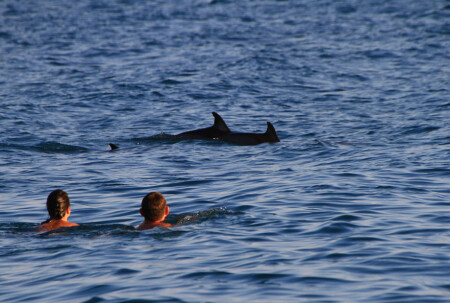 Три плюс Два