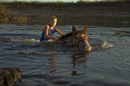 Лабрадор спешит на помощь!