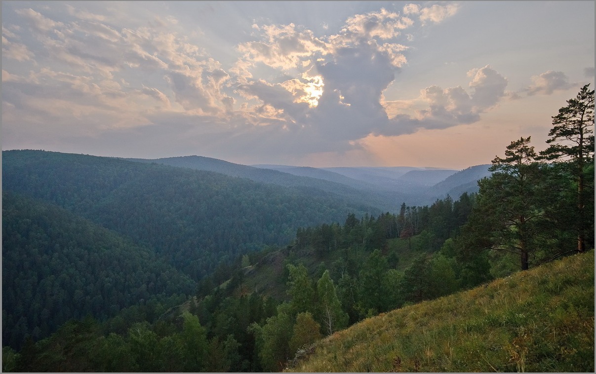 Зелёное море