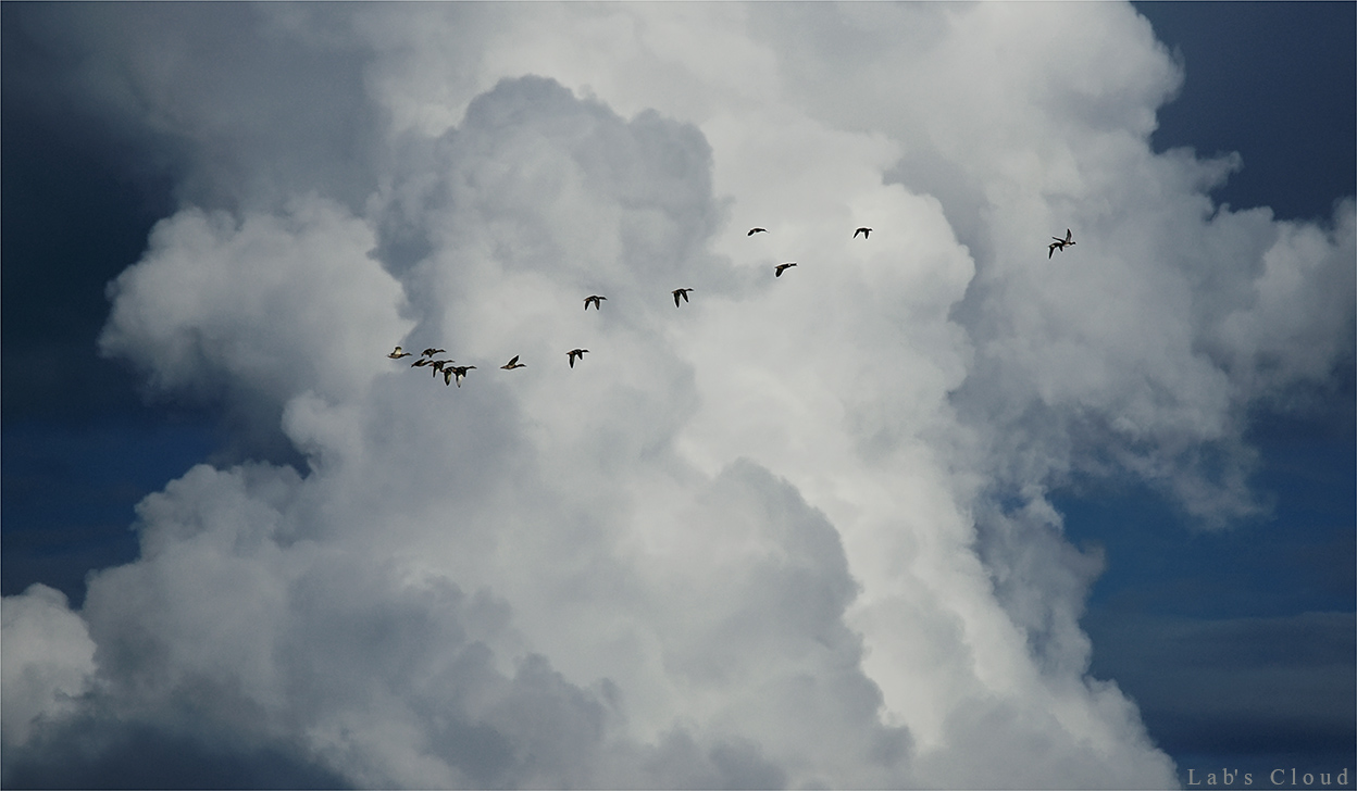 Lab's Cloud