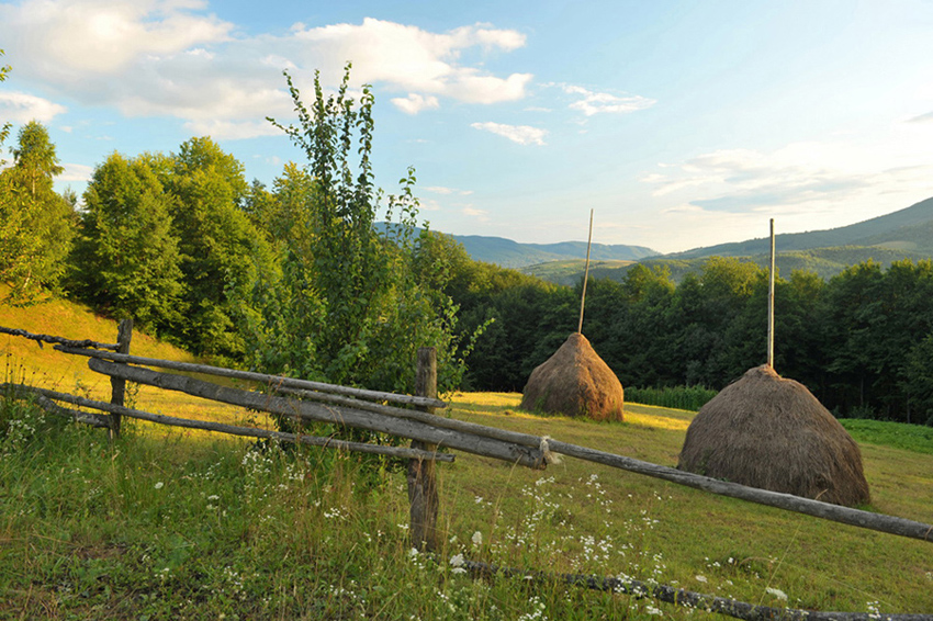 Закарпатье. Июль.