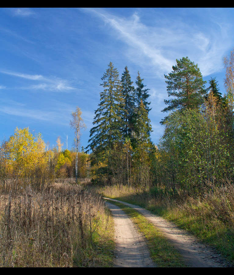 Осеннее