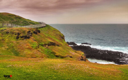 Phillip Island