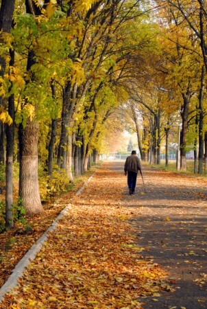 Всё та же осень..