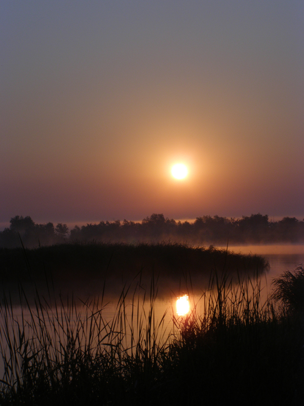 Солнце в реке.