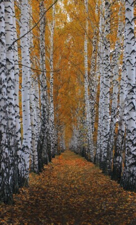 Бесконечность