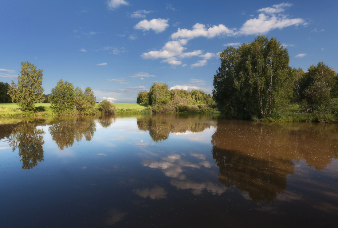 Отражения лесного озера